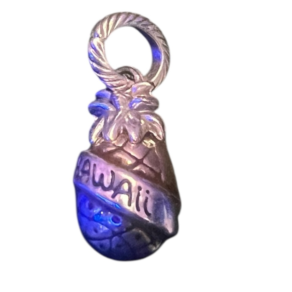 🌴 Brighton Hawaii‎ Pineapple Charm | Silver-Tone Travel Pendant
